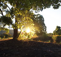 Clarendon Forest Retreat - Maitland Accommodation