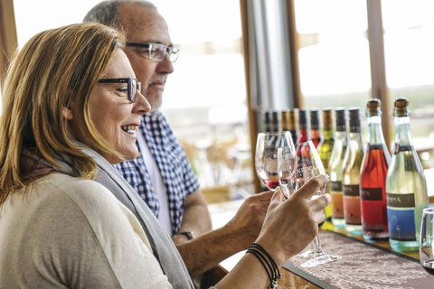 Comfort Inn & Suites Riverland - Maitland Accommodation 2