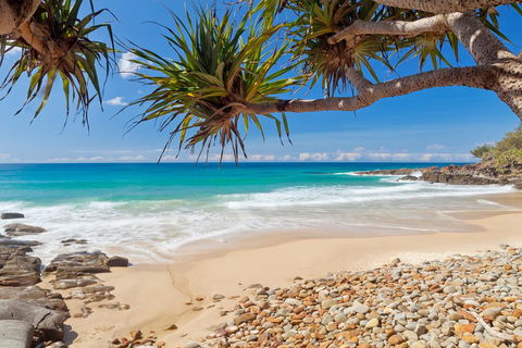 Coolum Classic Beach Shack - Pet Friendly - Maitland Accommodation 0