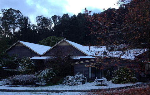 Crossways Country Inn - Maitland Accommodation 3