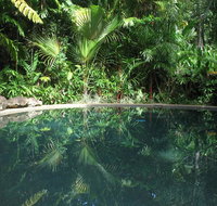 Daintree Rainforest Retreat Motel - Maitland Accommodation