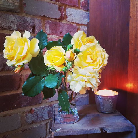 Darlington House - Maitland Accommodation 3