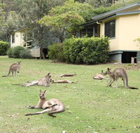 Depot Beach Cabins - Maitland Accommodation