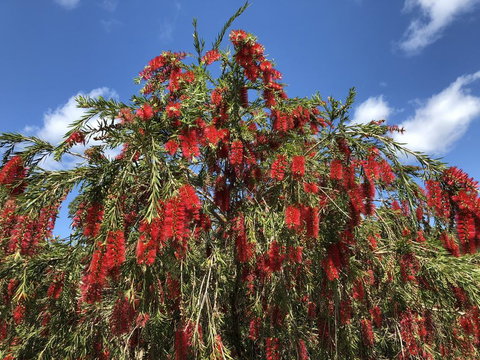 Destiny's Run Retreat - Maitland Accommodation 1