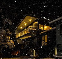 Diana Alpine Lodge - Maitland Accommodation