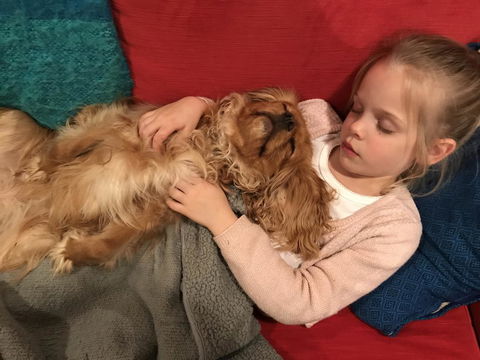 Dingup House - Maitland Accommodation 2