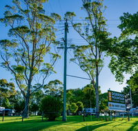Dorrigo Mountain Holiday Park - Maitland Accommodation