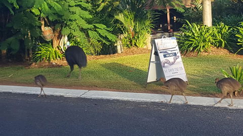 Driftwood Bed And Breakfast - Maitland Accommodation 1