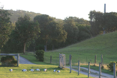 Driftwood Villas - Maitland Accommodation 1