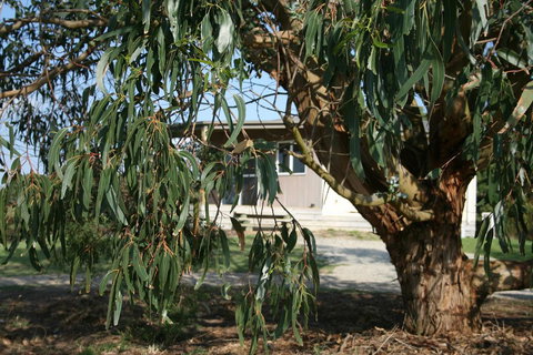 Driftwood Villas - Maitland Accommodation 3