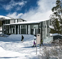 Elk at Falls - Maitland Accommodation