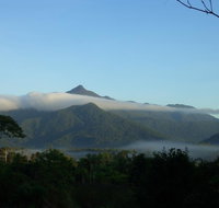 Epiphyte B  B - Maitland Accommodation