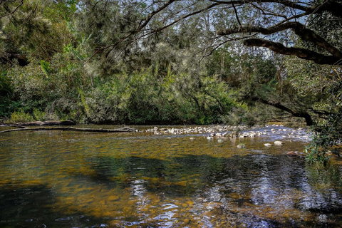 Equanimity - Beautiful Character Filled House! - Maitland Accommodation 3