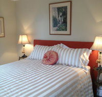 Every Man and His Dog Vineyard - Maitland Accommodation