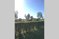 Book Benalla Accommodation Vacations Maitland Accommodation Maitland Accommodation
