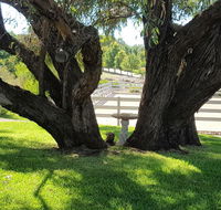 Farm Stay Studio - Maitland Accommodation