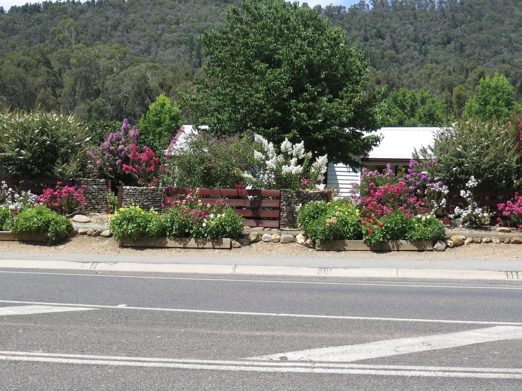 Bright VIC Maitland Accommodation