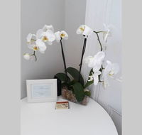 Gawler Heritage Accommodation - Maitland Accommodation