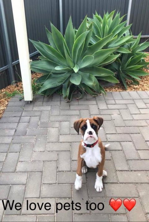 Gawler Townhouse 1 Bedroom - Maitland Accommodation 3