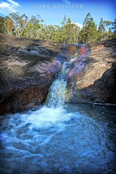 Girraween Environmental Lodge - Maitland Accommodation 3