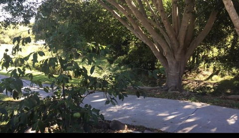 Handford Gardens - Maitland Accommodation 2