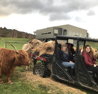 Highland Getaway - Maitland Accommodation