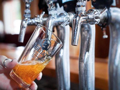 Holgate Brewhouse - Maitland Accommodation 0