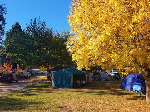 Jamieson Caravan Park - Maitland Accommodation 2