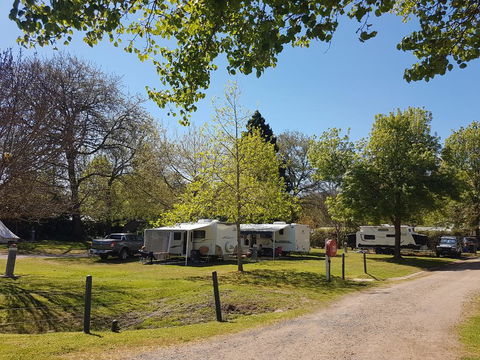 Jamieson Caravan Park - Maitland Accommodation 1