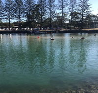 Jaspers Apartments - Maitland Accommodation