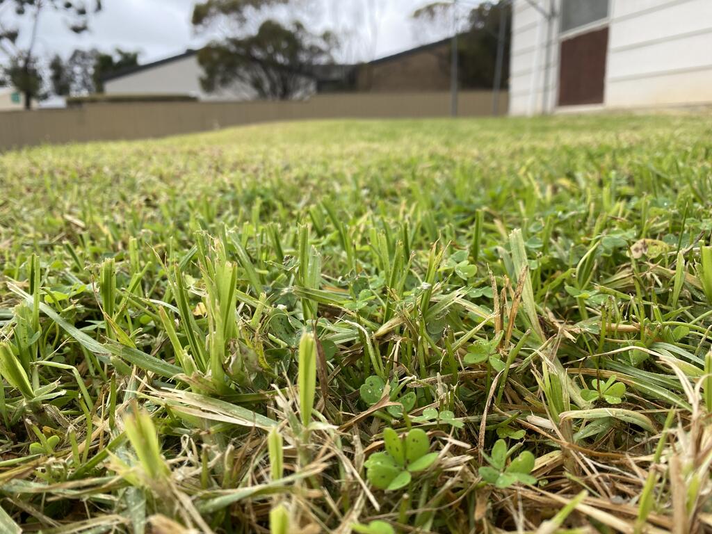 Karoonda SA Maitland Accommodation