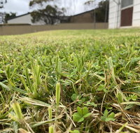 Karoonda Accommodation - Maitland Accommodation