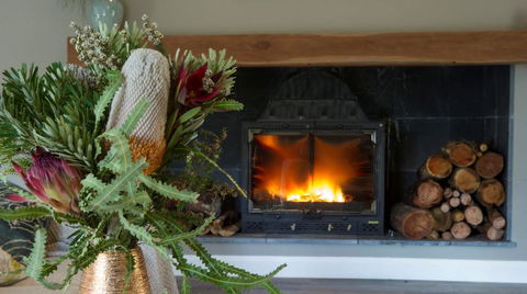 KOALA GULLY - Maitland Accommodation 0