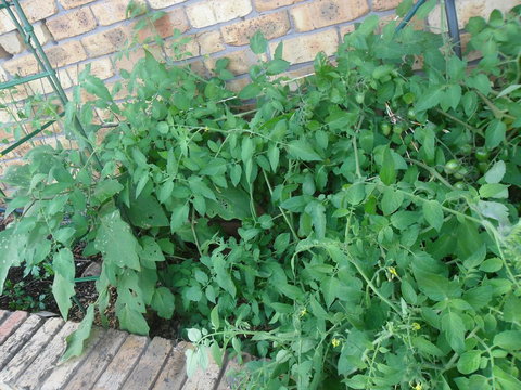 La Lagoon B&B - Maitland Accommodation 3