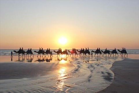 Luxury Executive Apartment At Broome Cable Beach - Maitland Accommodation 1