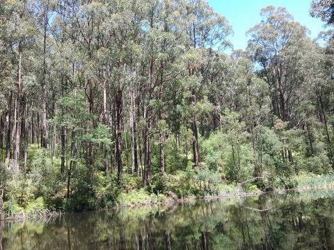 Lyrebird Gully Retreat - Maitland Accommodation 2