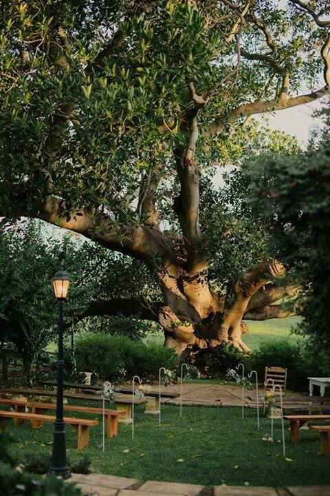 Maddies Of Bolwarra - Maitland Accommodation 3