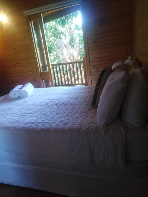 Mango Cottage - Maitland Accommodation 3