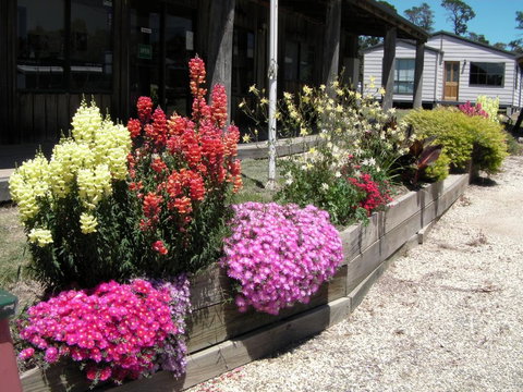 Mansfield Holiday Park - Maitland Accommodation 3