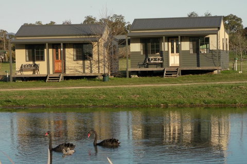 Mansfield Holiday Park - Maitland Accommodation 1
