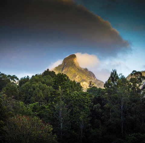 Mavis's Cabins @ Mt Warning - Maitland Accommodation 1