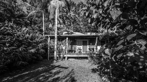 Mavis's Cabins @ Mt Warning - Maitland Accommodation 2