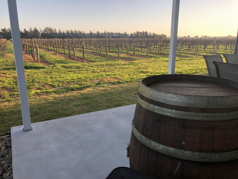 Milawa Vineyard Views - Guesthouse 1 - Maitland Accommodation 2