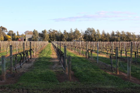 Milawa Vineyard Views - Guesthouse 1 - Maitland Accommodation 1