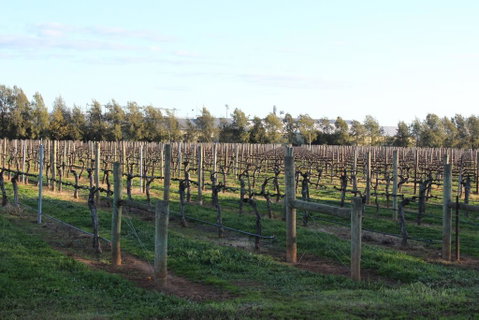 Milawa Vineyard Views - Guesthouse 2 - Maitland Accommodation 0