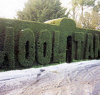 Mooltan House - Maitland Accommodation