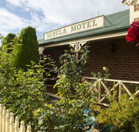 Nebula Motel - Maitland Accommodation