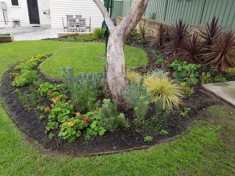 Spencer Cottage - Maitland Accommodation 2
