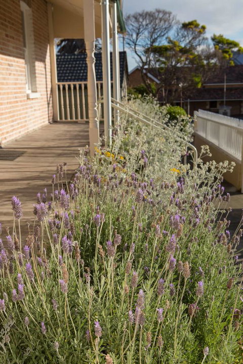 Spencer Cottage - Maitland Accommodation 11