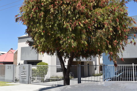 Central Executive Townhouse - Maitland Accommodation 9